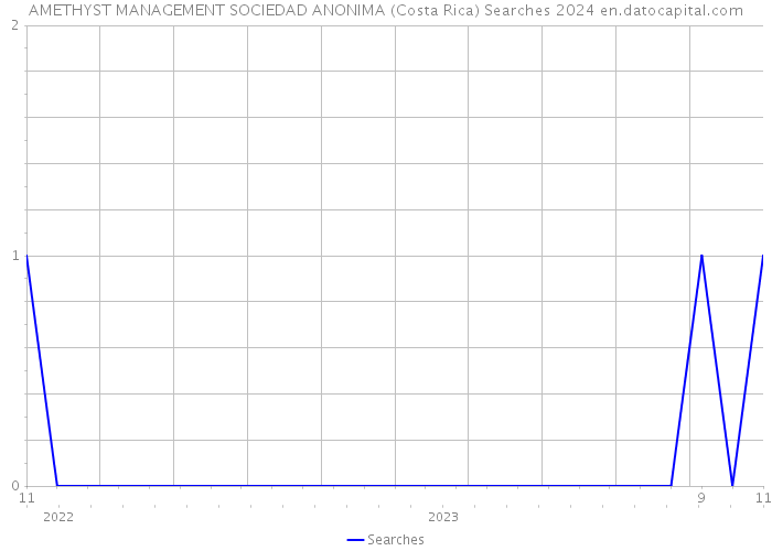 AMETHYST MANAGEMENT SOCIEDAD ANONIMA (Costa Rica) Searches 2024 