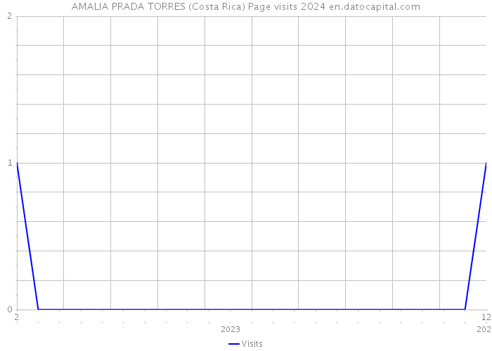 AMALIA PRADA TORRES (Costa Rica) Page visits 2024 