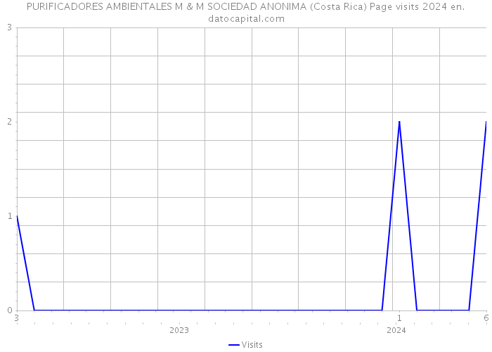 PURIFICADORES AMBIENTALES M & M SOCIEDAD ANONIMA (Costa Rica) Page visits 2024 