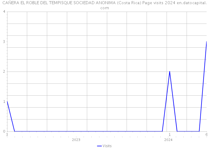 CAŃERA EL ROBLE DEL TEMPISQUE SOCIEDAD ANONIMA (Costa Rica) Page visits 2024 