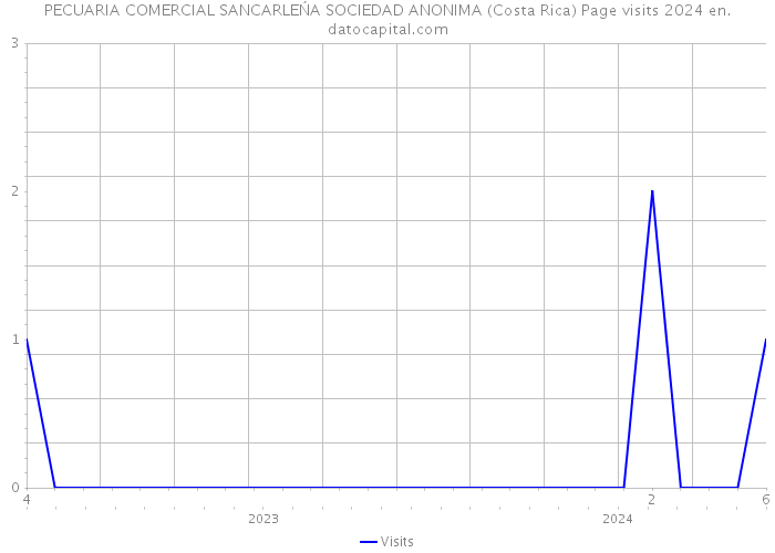 PECUARIA COMERCIAL SANCARLEŃA SOCIEDAD ANONIMA (Costa Rica) Page visits 2024 