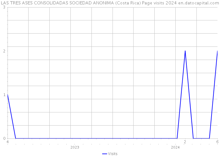 LAS TRES ASES CONSOLIDADAS SOCIEDAD ANONIMA (Costa Rica) Page visits 2024 