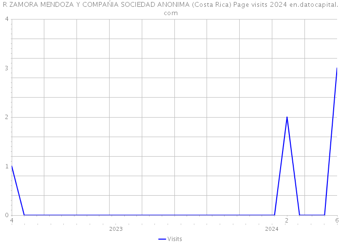 R ZAMORA MENDOZA Y COMPAŃIA SOCIEDAD ANONIMA (Costa Rica) Page visits 2024 