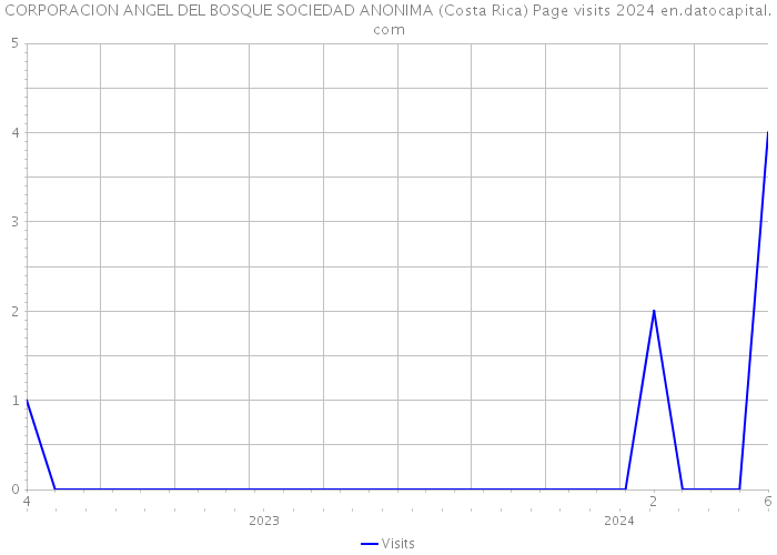 CORPORACION ANGEL DEL BOSQUE SOCIEDAD ANONIMA (Costa Rica) Page visits 2024 