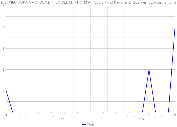 DISTRIBUIDORA MACHUCA D M SOCIEDAD ANONIMA (Costa Rica) Page visits 2024 