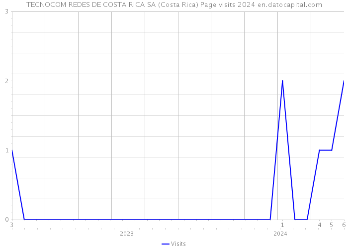 TECNOCOM REDES DE COSTA RICA SA (Costa Rica) Page visits 2024 