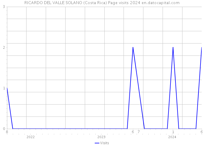 RICARDO DEL VALLE SOLANO (Costa Rica) Page visits 2024 
