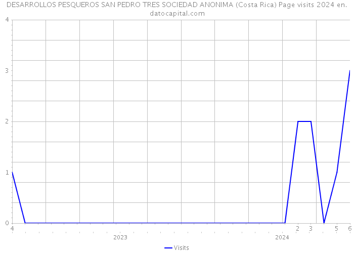 DESARROLLOS PESQUEROS SAN PEDRO TRES SOCIEDAD ANONIMA (Costa Rica) Page visits 2024 