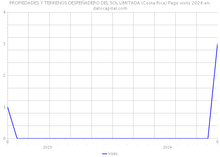 PROPIEDADES Y TERRENOS DESPEŃADERO DEL SOL LIMITADA (Costa Rica) Page visits 2024 
