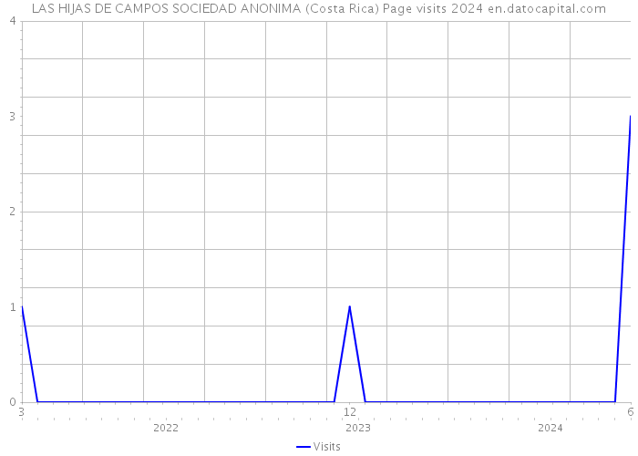 LAS HIJAS DE CAMPOS SOCIEDAD ANONIMA (Costa Rica) Page visits 2024 