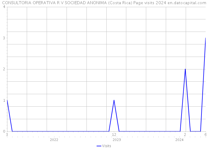 CONSULTORIA OPERATIVA R V SOCIEDAD ANONIMA (Costa Rica) Page visits 2024 