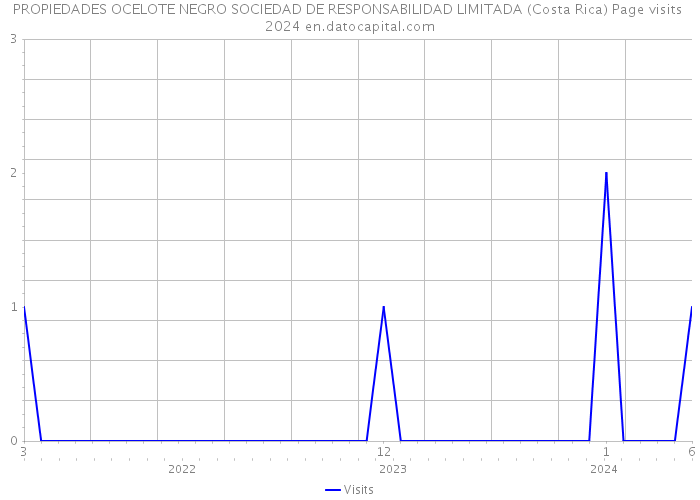 PROPIEDADES OCELOTE NEGRO SOCIEDAD DE RESPONSABILIDAD LIMITADA (Costa Rica) Page visits 2024 