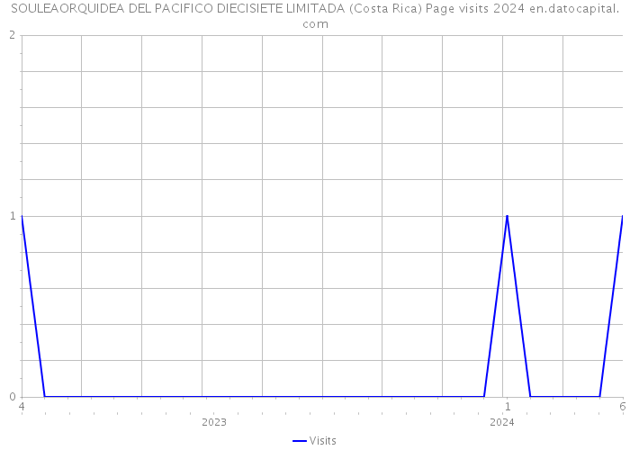 SOULEAORQUIDEA DEL PACIFICO DIECISIETE LIMITADA (Costa Rica) Page visits 2024 
