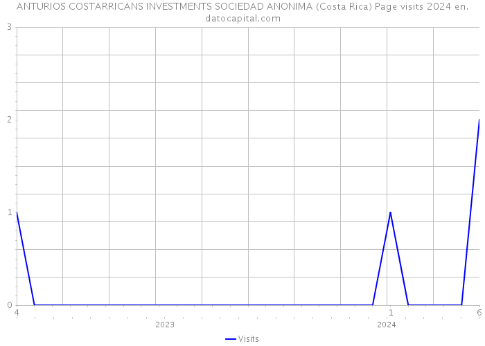 ANTURIOS COSTARRICANS INVESTMENTS SOCIEDAD ANONIMA (Costa Rica) Page visits 2024 