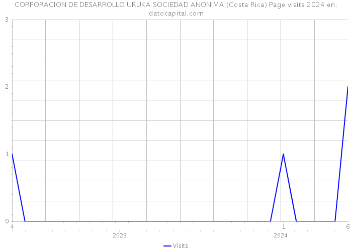 CORPORACION DE DESARROLLO URUKA SOCIEDAD ANONIMA (Costa Rica) Page visits 2024 