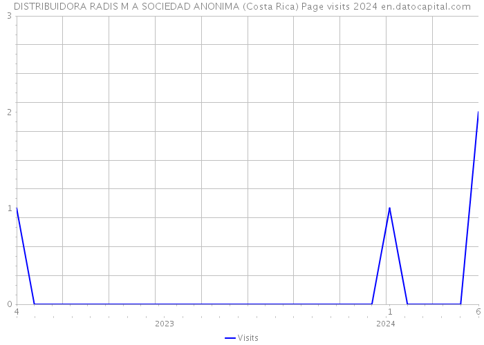 DISTRIBUIDORA RADIS M A SOCIEDAD ANONIMA (Costa Rica) Page visits 2024 