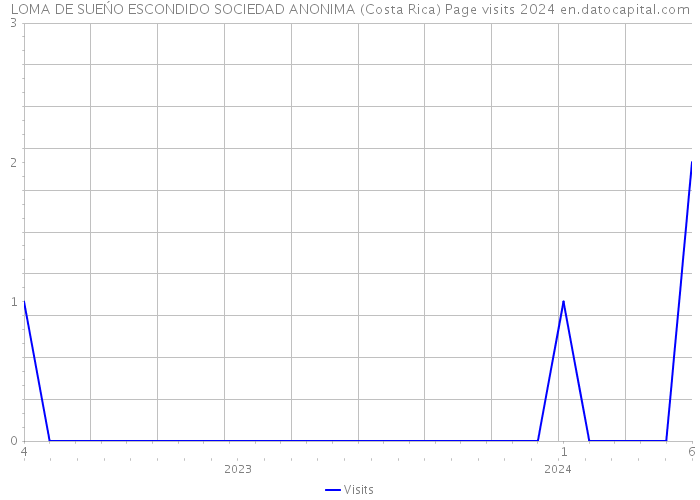 LOMA DE SUEŃO ESCONDIDO SOCIEDAD ANONIMA (Costa Rica) Page visits 2024 