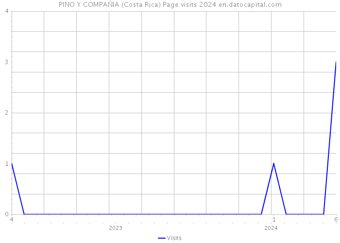 PINO Y COMPAŃIA (Costa Rica) Page visits 2024 