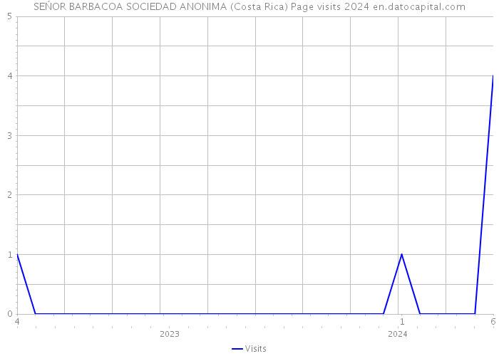 SEŃOR BARBACOA SOCIEDAD ANONIMA (Costa Rica) Page visits 2024 