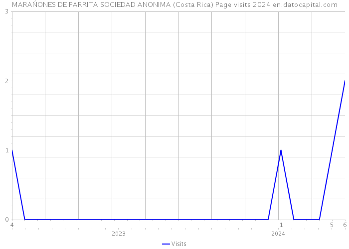 MARAŃONES DE PARRITA SOCIEDAD ANONIMA (Costa Rica) Page visits 2024 
