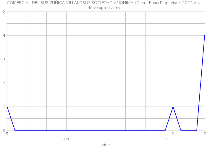 COMERCIAL DEL SUR ZUŃIGA VILLALOBOS SOCIEDAD ANONIMA (Costa Rica) Page visits 2024 