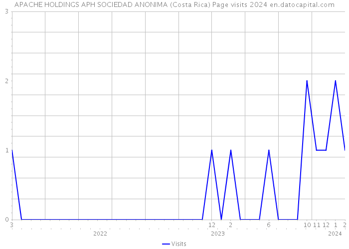 APACHE HOLDINGS APH SOCIEDAD ANONIMA (Costa Rica) Page visits 2024 