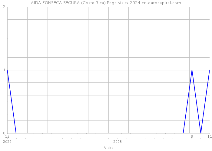 AIDA FONSECA SEGURA (Costa Rica) Page visits 2024 