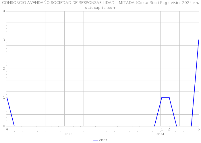 CONSORCIO AVENDAŃO SOCIEDAD DE RESPONSABILIDAD LIMITADA (Costa Rica) Page visits 2024 