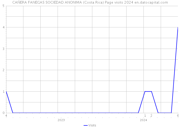 CAŃERA FANEGAS SOCIEDAD ANONIMA (Costa Rica) Page visits 2024 
