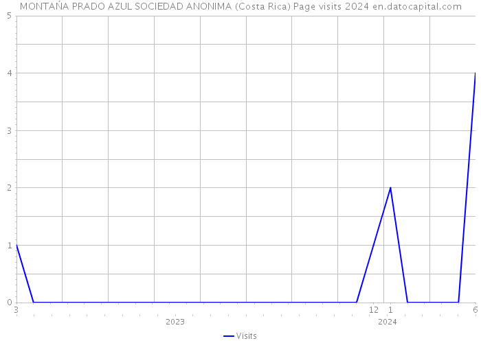 MONTAŃA PRADO AZUL SOCIEDAD ANONIMA (Costa Rica) Page visits 2024 