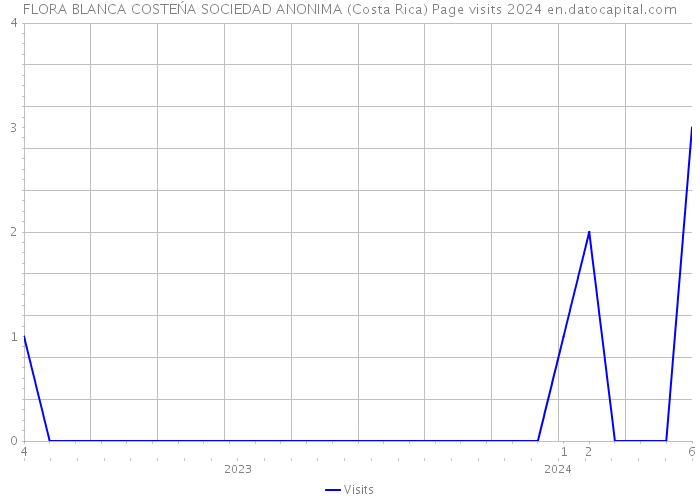 FLORA BLANCA COSTEŃA SOCIEDAD ANONIMA (Costa Rica) Page visits 2024 