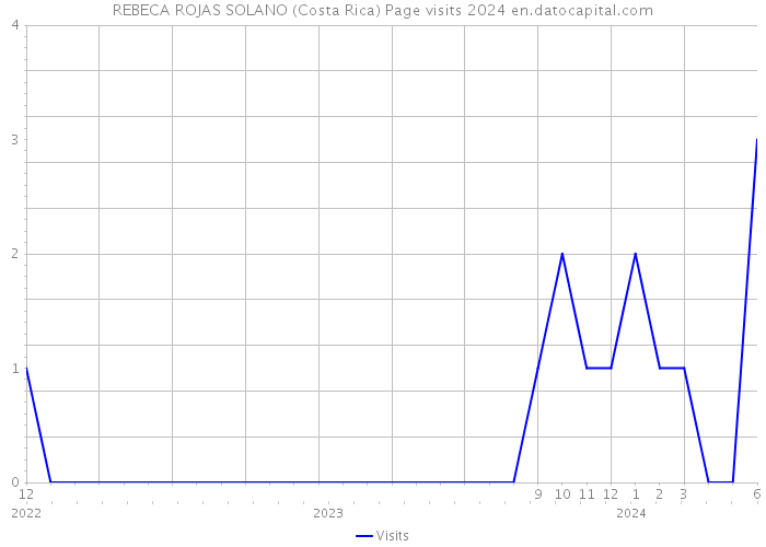 REBECA ROJAS SOLANO (Costa Rica) Page visits 2024 