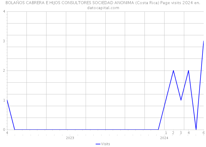 BOLAŃOS CABRERA E HIJOS CONSULTORES SOCIEDAD ANONIMA (Costa Rica) Page visits 2024 