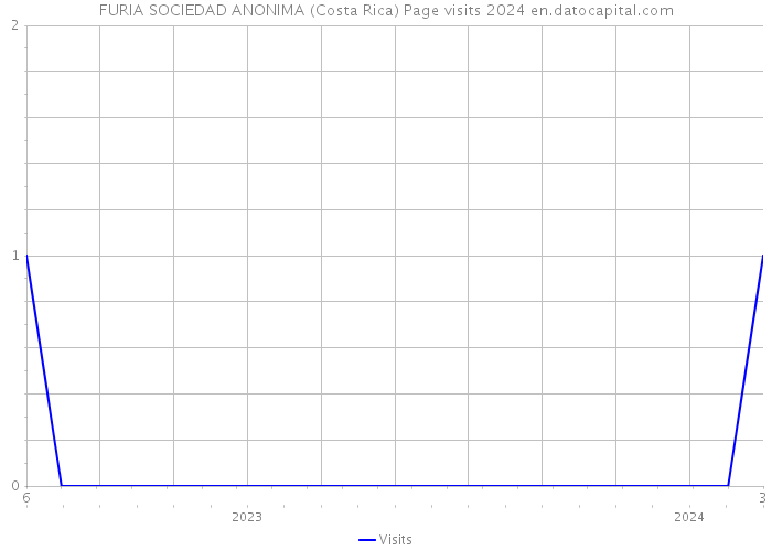 FURIA SOCIEDAD ANONIMA (Costa Rica) Page visits 2024 