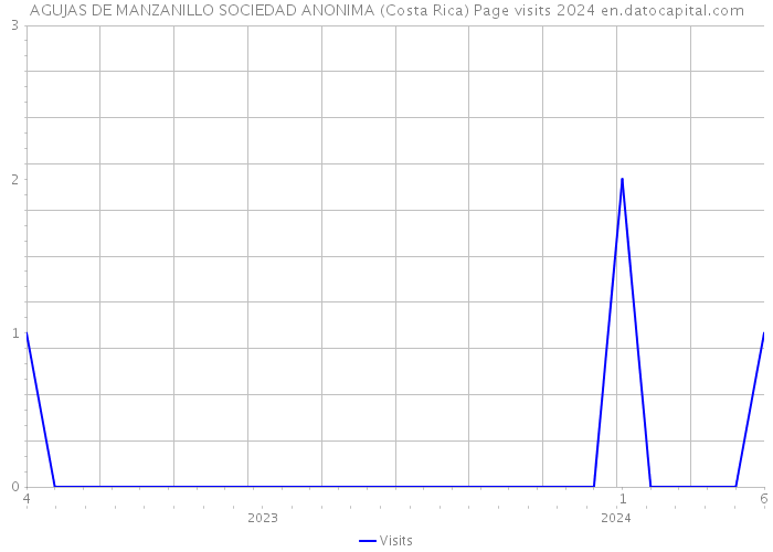 AGUJAS DE MANZANILLO SOCIEDAD ANONIMA (Costa Rica) Page visits 2024 
