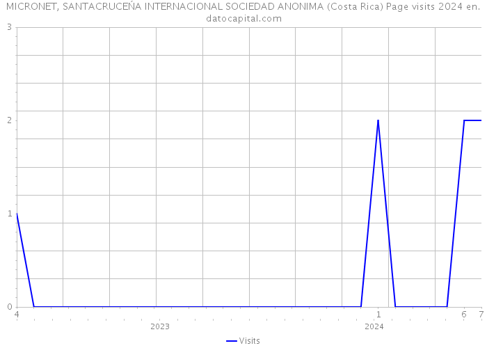 MICRONET, SANTACRUCEŃA INTERNACIONAL SOCIEDAD ANONIMA (Costa Rica) Page visits 2024 
