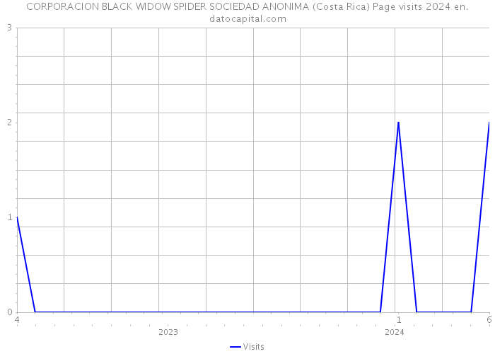 CORPORACION BLACK WIDOW SPIDER SOCIEDAD ANONIMA (Costa Rica) Page visits 2024 