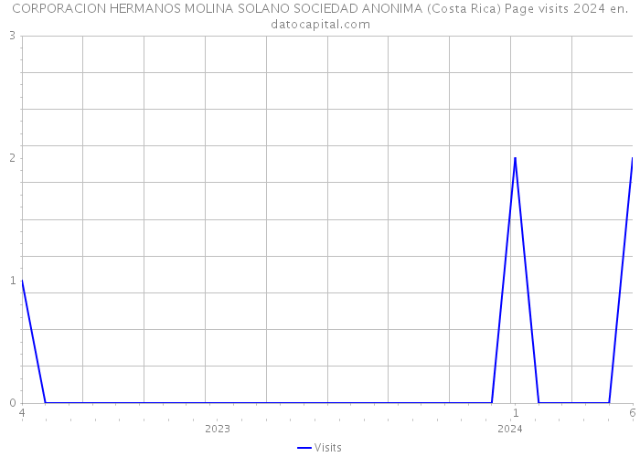 CORPORACION HERMANOS MOLINA SOLANO SOCIEDAD ANONIMA (Costa Rica) Page visits 2024 