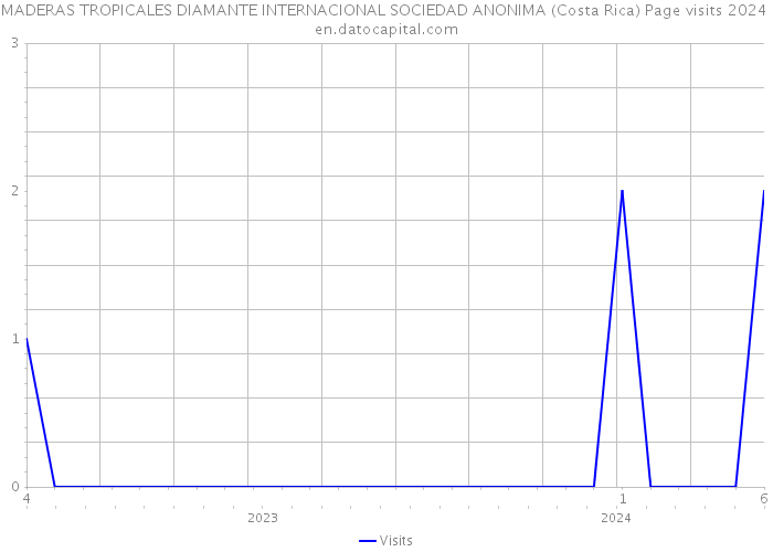 MADERAS TROPICALES DIAMANTE INTERNACIONAL SOCIEDAD ANONIMA (Costa Rica) Page visits 2024 