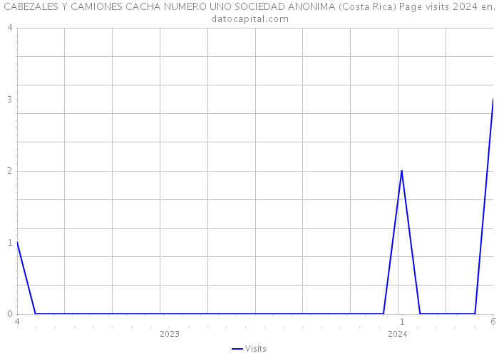 CABEZALES Y CAMIONES CACHA NUMERO UNO SOCIEDAD ANONIMA (Costa Rica) Page visits 2024 