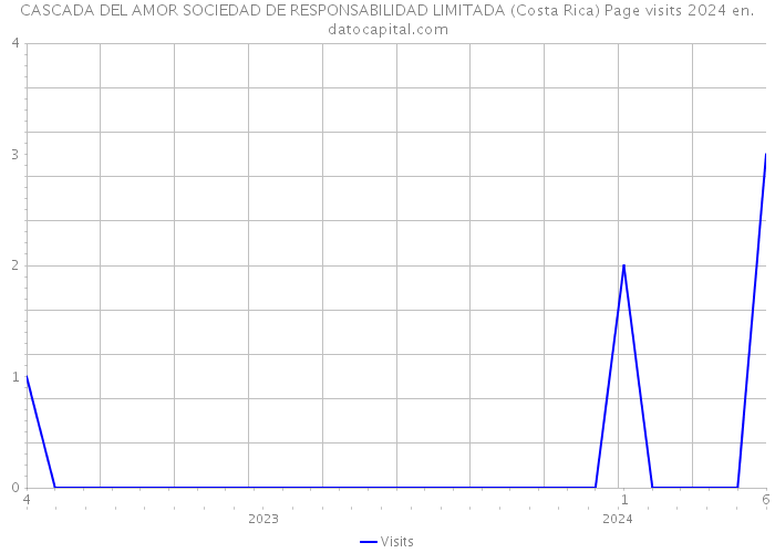 CASCADA DEL AMOR SOCIEDAD DE RESPONSABILIDAD LIMITADA (Costa Rica) Page visits 2024 