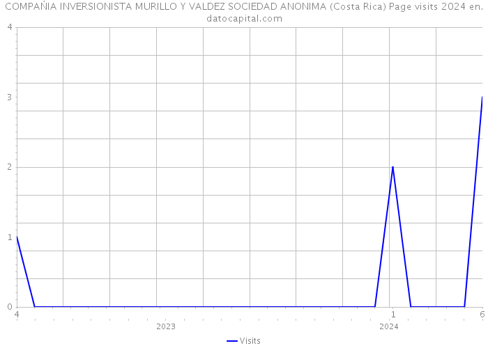 COMPAŃIA INVERSIONISTA MURILLO Y VALDEZ SOCIEDAD ANONIMA (Costa Rica) Page visits 2024 