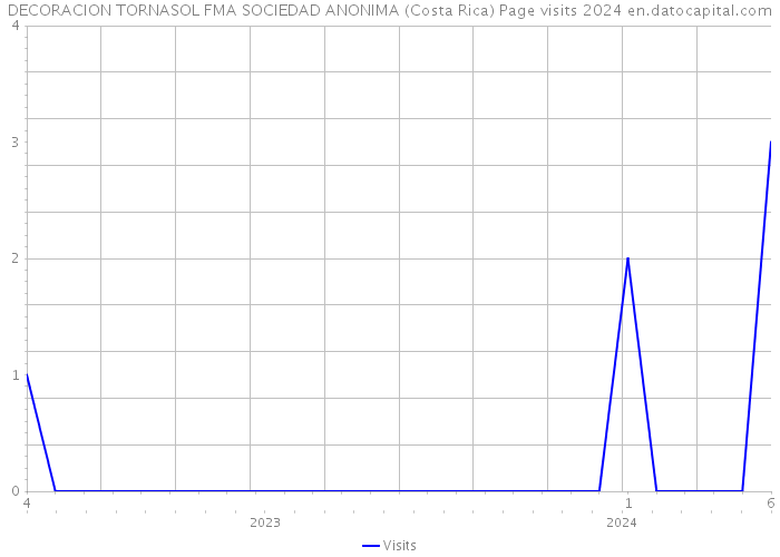 DECORACION TORNASOL FMA SOCIEDAD ANONIMA (Costa Rica) Page visits 2024 