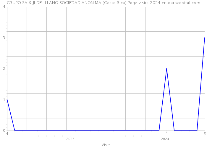 GRUPO SA & JI DEL LLANO SOCIEDAD ANONIMA (Costa Rica) Page visits 2024 