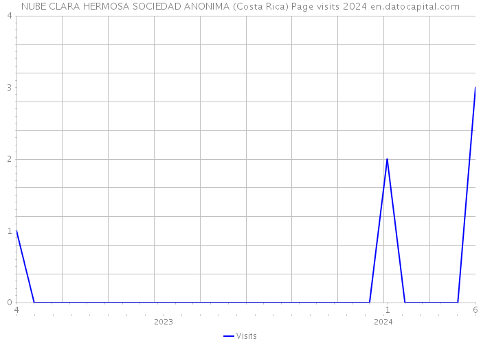 NUBE CLARA HERMOSA SOCIEDAD ANONIMA (Costa Rica) Page visits 2024 