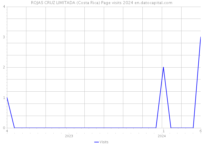 ROJAS CRUZ LIMITADA (Costa Rica) Page visits 2024 