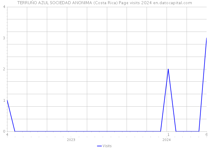 TERRUŃO AZUL SOCIEDAD ANONIMA (Costa Rica) Page visits 2024 