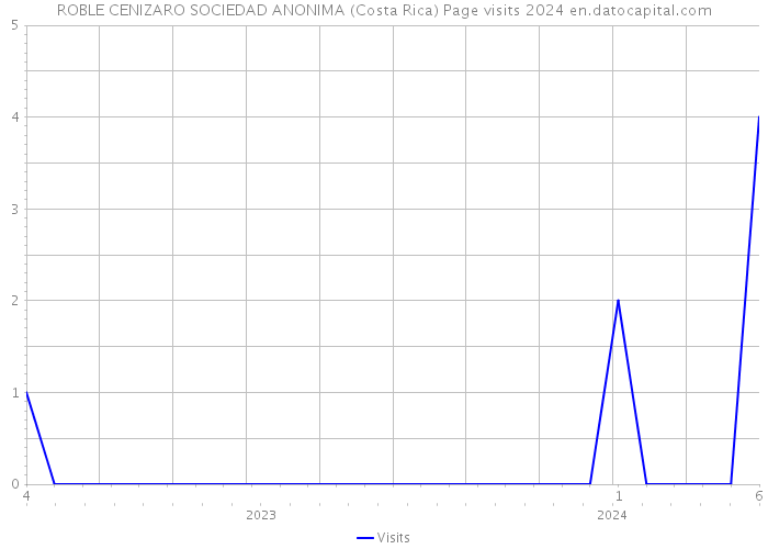 ROBLE CENIZARO SOCIEDAD ANONIMA (Costa Rica) Page visits 2024 