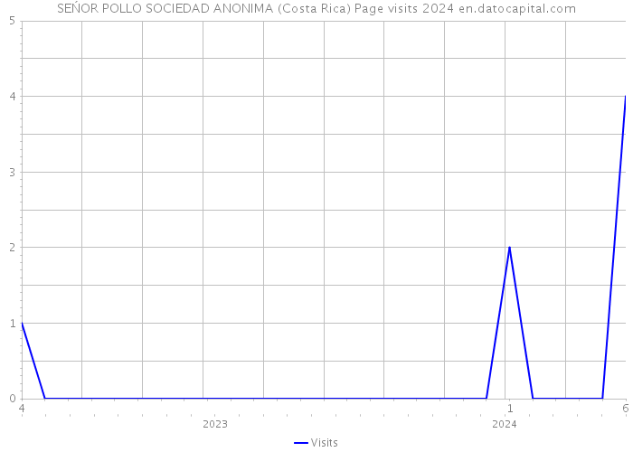 SEŃOR POLLO SOCIEDAD ANONIMA (Costa Rica) Page visits 2024 