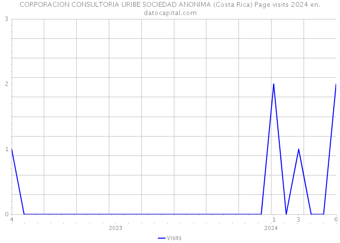 CORPORACION CONSULTORIA URIBE SOCIEDAD ANONIMA (Costa Rica) Page visits 2024 